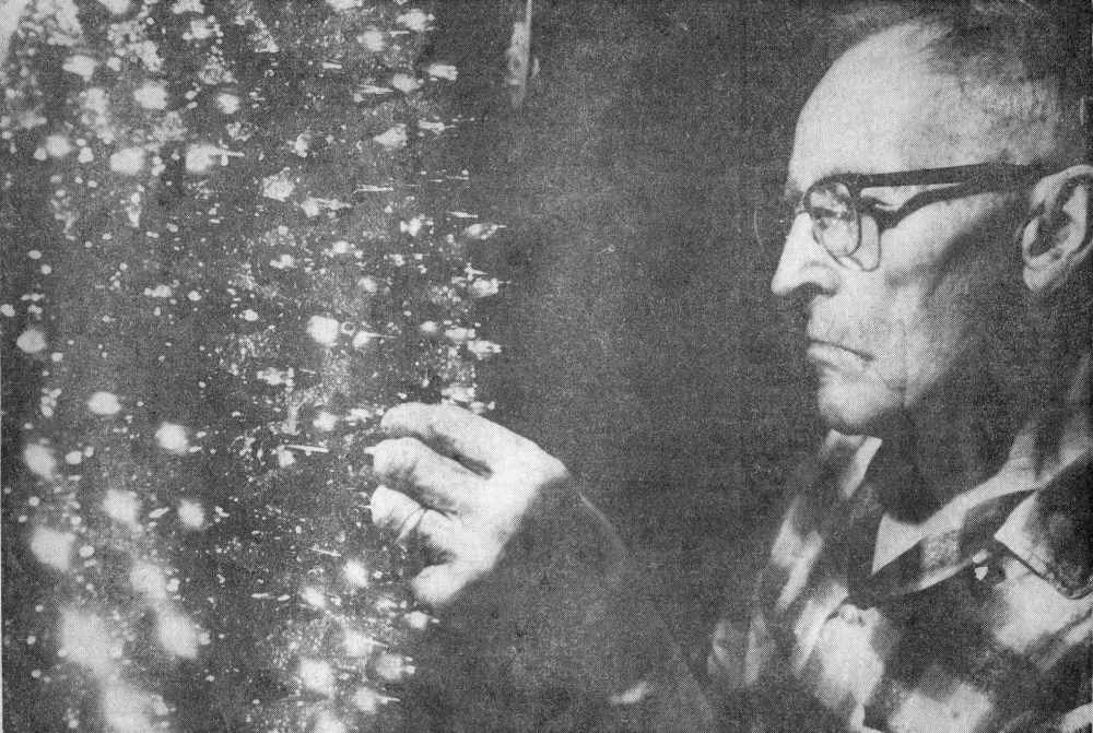 Emmanuel Schaeffer examining his Christmas tree with 1,000 lights