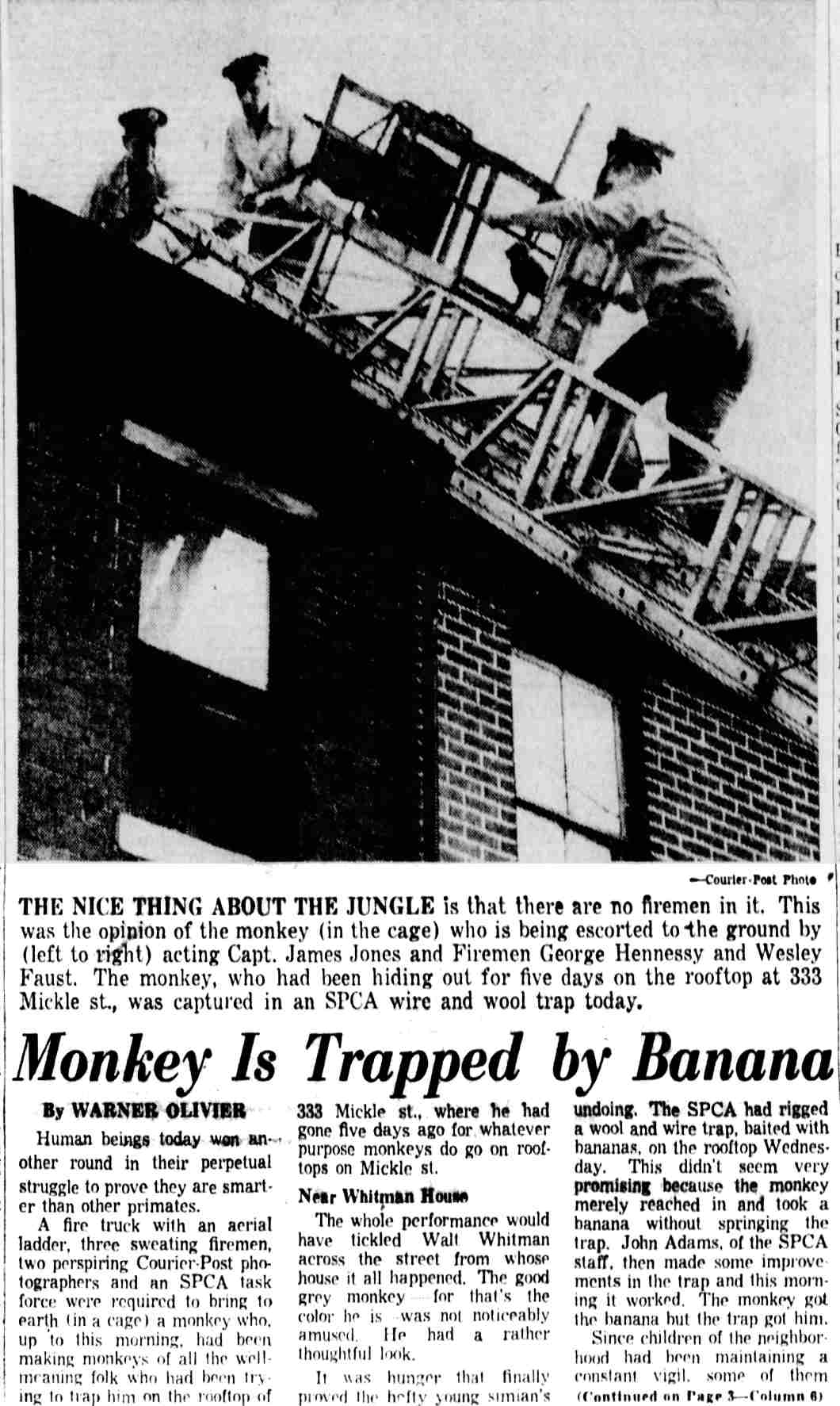 Camden Courier-Post, August 20, 1954 — Monkey Is Trapped by Banana