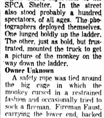 Article continued