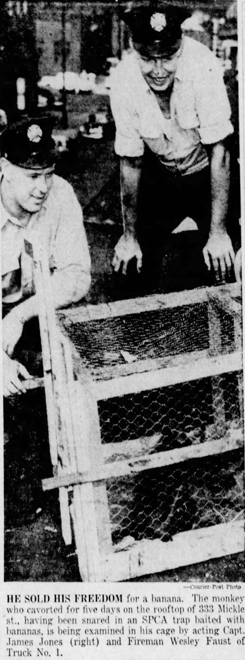 Acting Captain James Jones and Fireman Wesley Faust examine captured monkey in cage