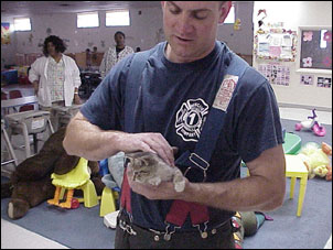 Kitten rescue — photo 6
