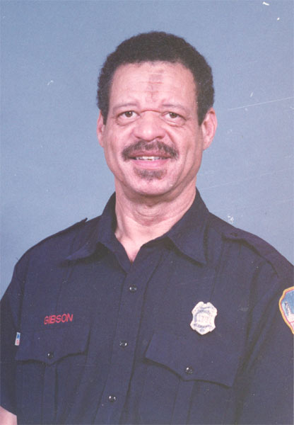Arthur J. Gibson
