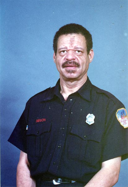 Arthur J. Gibson
