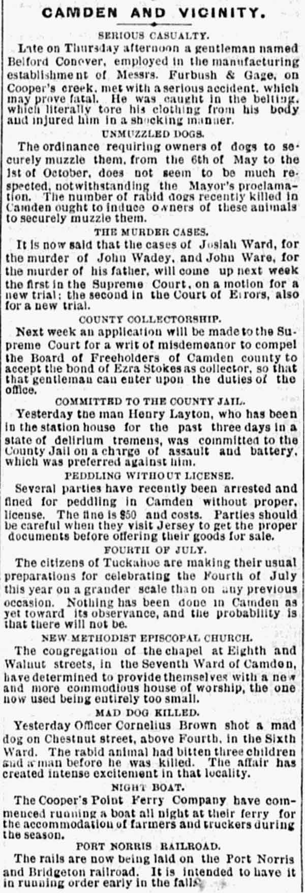 Philadelphia Inquirer, June 17, 1871 — Camden and Vicinity column including Mad Dog Killed item