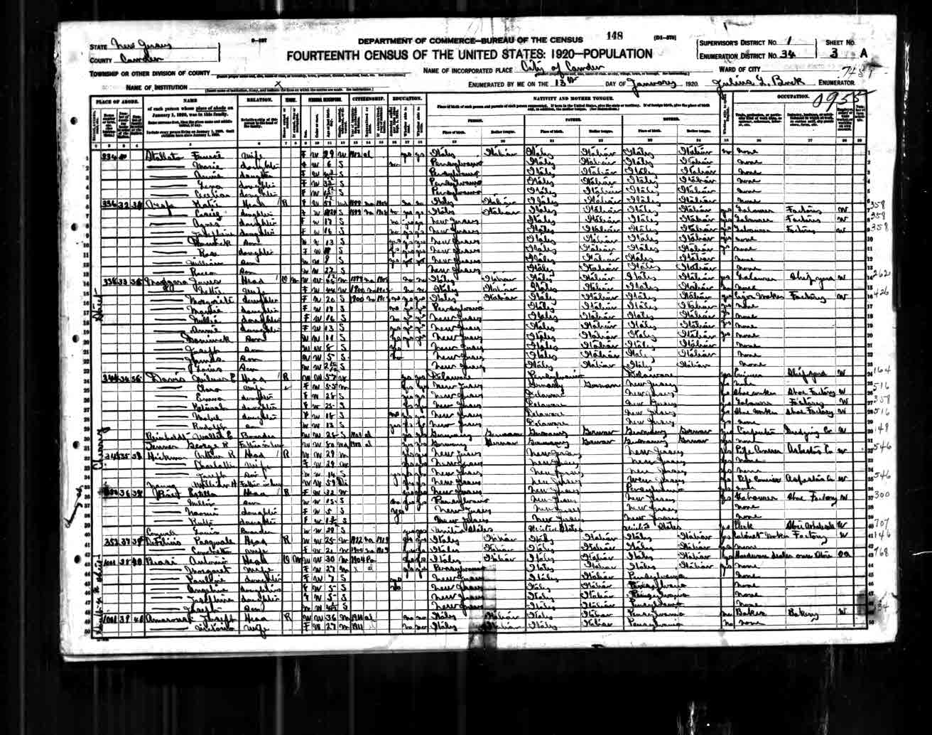 1920 Census, G. Rudolph Tenner