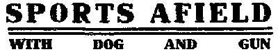 Trenton Times, November 16, 1907 — Sports Afield With Dog and Gun (headline)