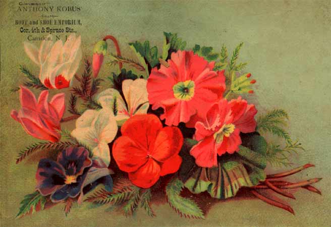Trade card for Anthony Kobus Grand Boot and Shoe Emporium