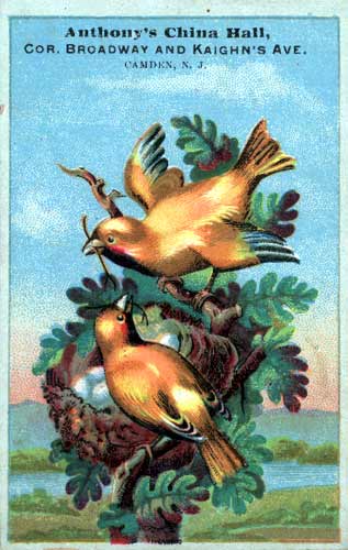 Anthony's China Hall advertising trade card, Broadway and Kaighn's Avenue, Camden