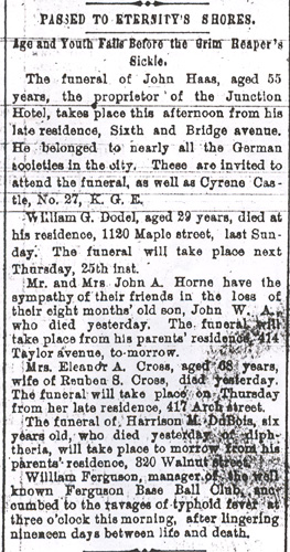 Passed to Eternity's Shores - Camden Courier-Post - October 23, 1894