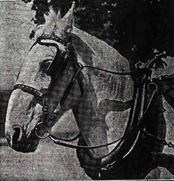 Dr. David Helm article, August 1936, clipping 2