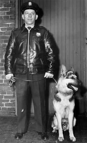 Sergeant Walter Busko of the New Camden Police K9 Unit, December 1961