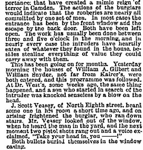 New York Herald, December 5, 1893, page 6