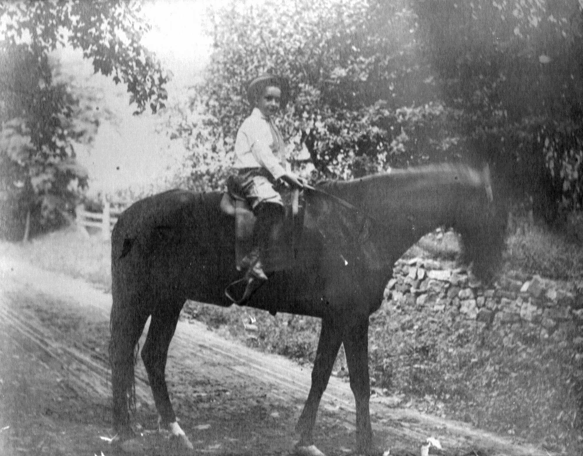Heber E. McCord on his Morgan horse, Chester County, Pennsylvania, circa 1908