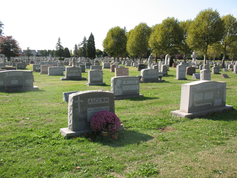 Alcorn grave marker in context — Calvary Cemetery, Cherry Hill, NJ