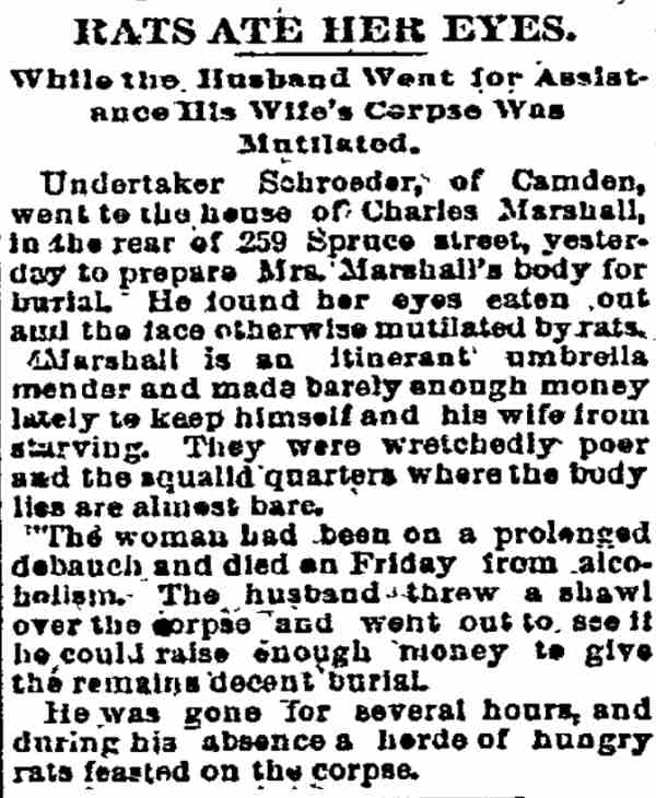 Rats Ate Her Eyes, Philadelphia Inquirer, November 4, 1894