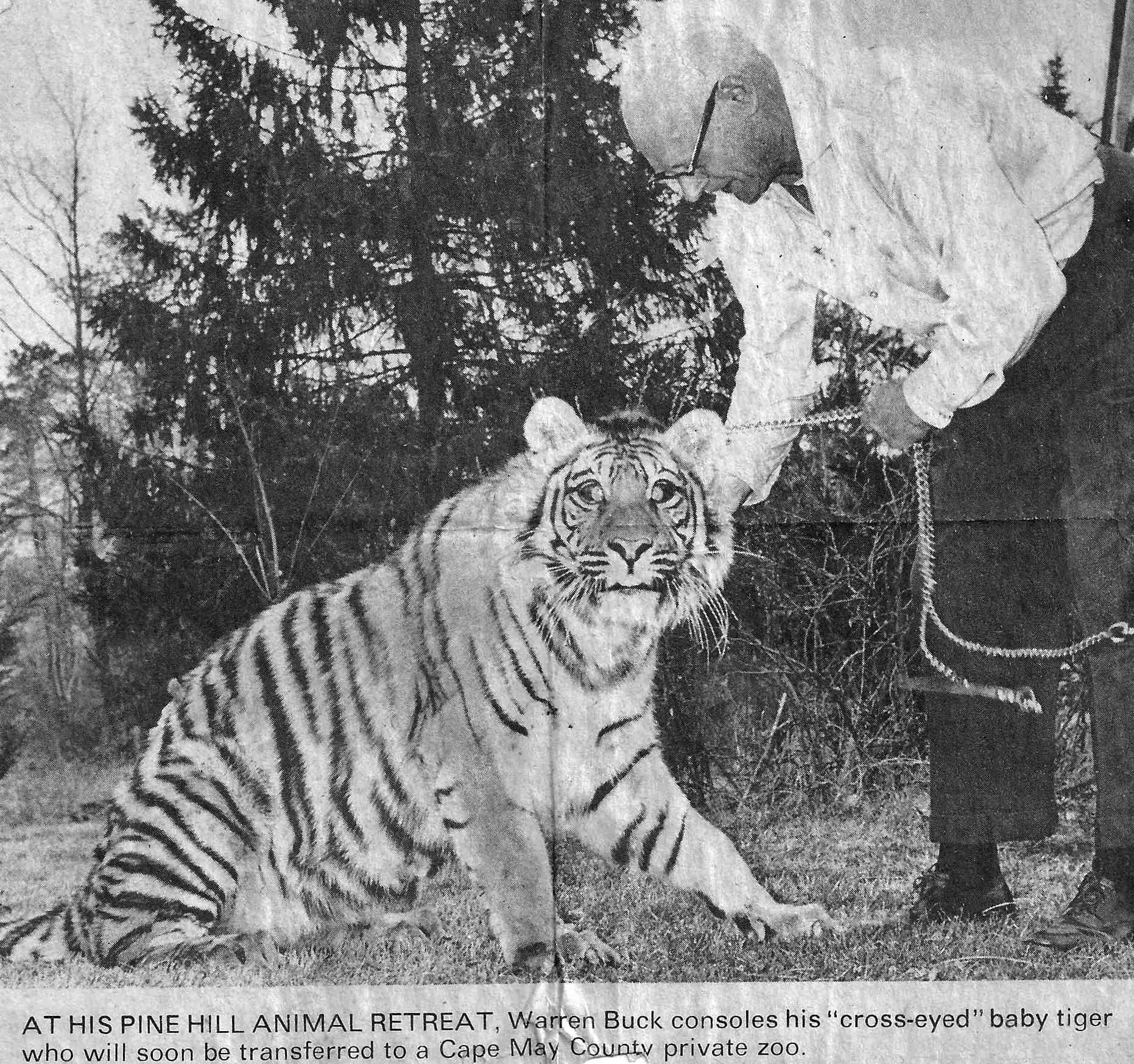 Warren Buck with Delhi the cross-eyed tiger