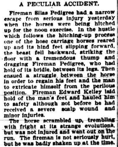 Camden Post-Telegram, November 20, 1900 — A Peculiar Accident involving Fireman Josiah Pedigree