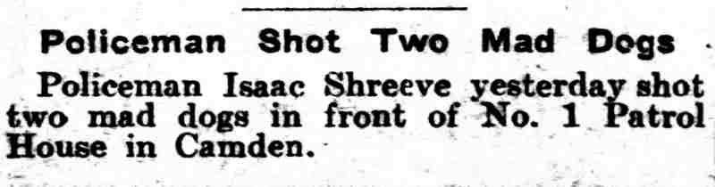 Policeman Shot Two Mad Dogs, Philadelphia Inquirer, February 23, 1906