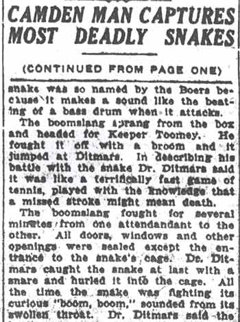 Camden Post-Telegram clipping, May 25, 1925, World's Most Deadly Snakes, column 2