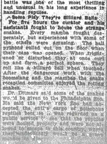 Camden Post-Telegram clipping, May 25, 1925, World's Most Deadly Snakes, column 3