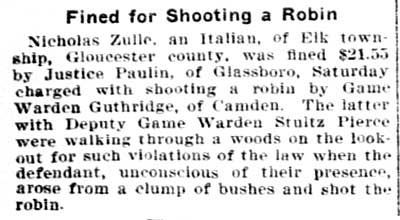 Philadelphia Inquirer August 5, 1901 — Fined for Shooting a Robin