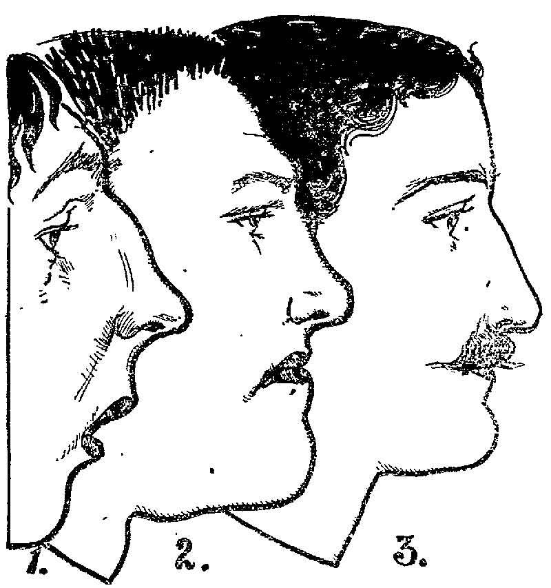 Philadelphia Inquirer - October 25, 1902 newspaper clipping image