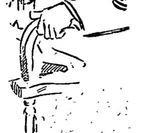 Philadelphia Inquirer, November 15, 1902, page 5c