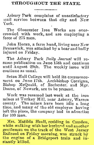 Trenton Evening Times, June 2, 1885