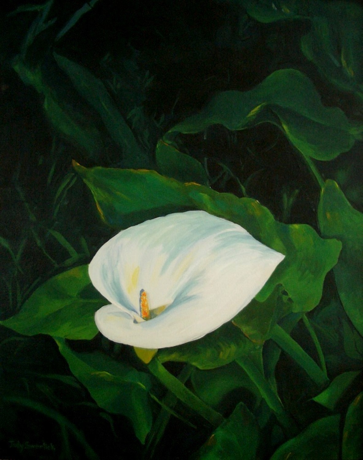 Calla Lily — painting by Judy Swerlick