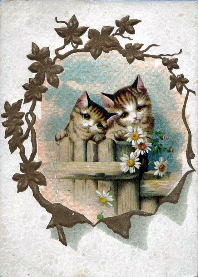 1892 Trade card front for Anthony Kobus