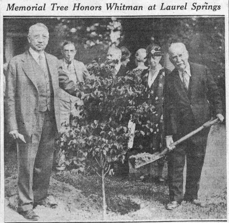 Memorial Tree Honors Whitman at Laurel Springs