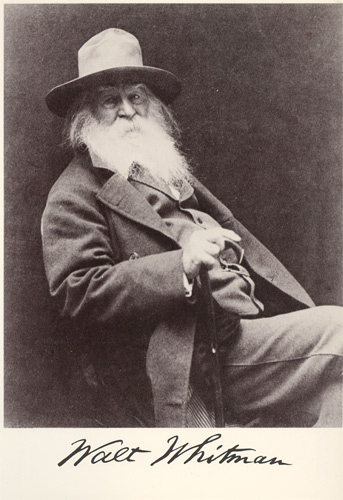 Portrait postcard of Walt Whitman